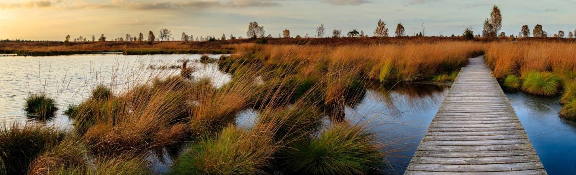 Holiday Inn Express Pascagoula-Moss Point By Ihg Bagian luar foto